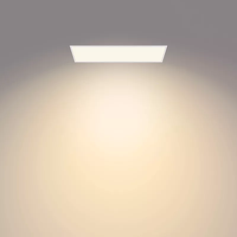 Plafonier Philips Functional Panel Ceiling 36 W retangular