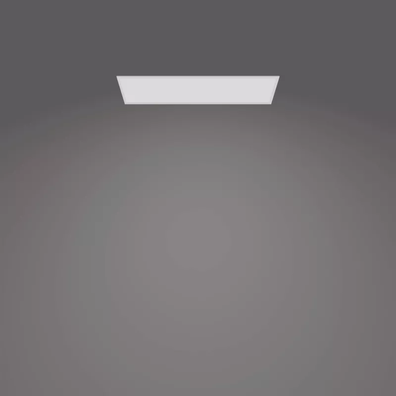 Plafonier Philips Functional Panel 36 W LED retangular 300×1200×42 mm, branco