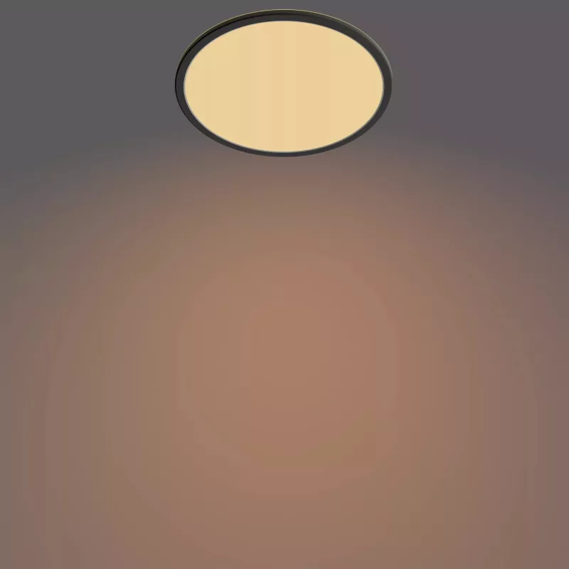 Philips Functional Plafond 18W 2700K 1500 lm LED de superfície regulável preto