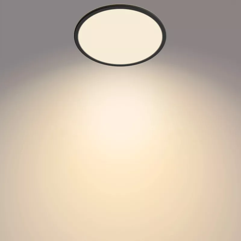 Philips Functional Plafond 18W 2700K 1500 lm LED de superfície regulável preto