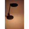Candeeiro de secretária Philips Functional Einstein
