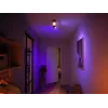 Plafonier Philips Hue White and colour ambience Centris 2-Spot