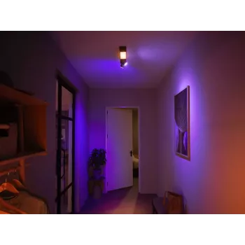 Plafonier Philips Hue White and colour ambience Centris 2-Spot