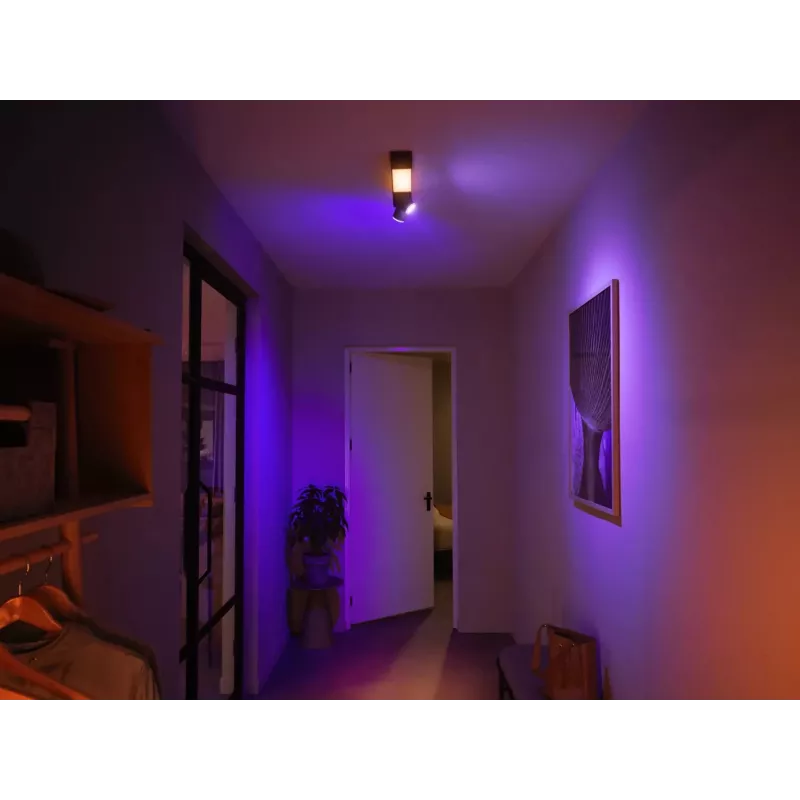 Plafonier Philips Hue White and colour ambience Centris 2-Spot