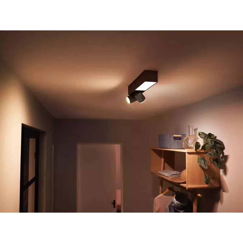Plafonier Philips Hue White and colour ambience Centris 2-Spot