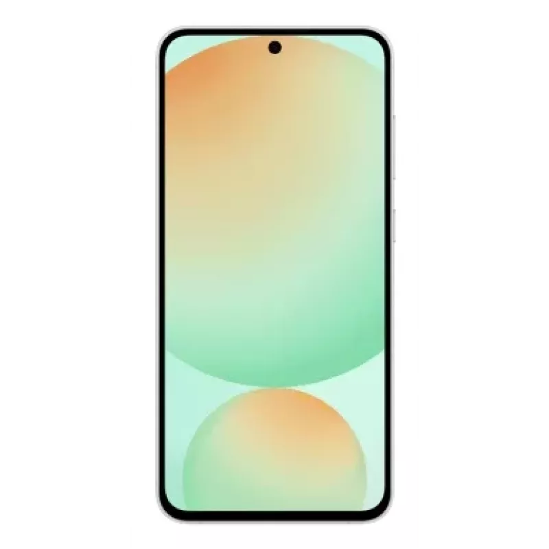 Samsung Galaxy S24 FE 17 cm (6,7