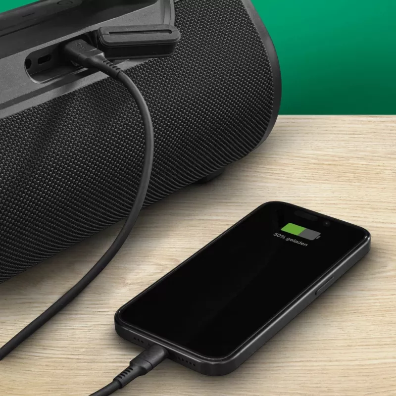 Altifalante portátil estéreo Hama Mate Pro MK II preto 60 W