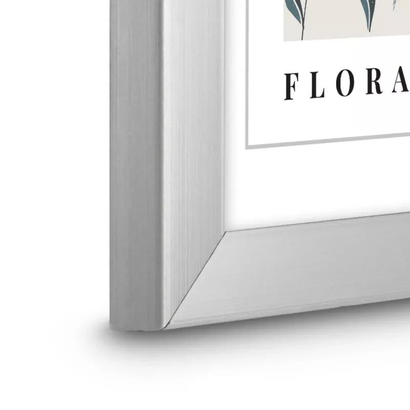 Moldura individual Hama Flora prateada