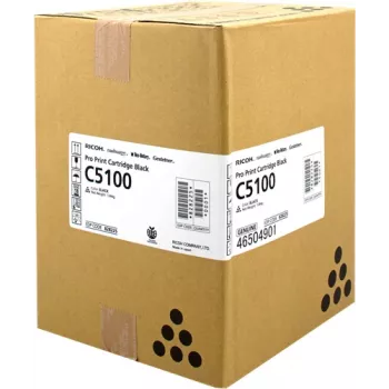 Cartucho de toner Ricoh 828225 1 unid. original preto