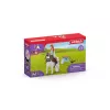 Figura de brincar Schleich HORSE CLUB 42518
