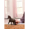 Figura de brincar para criança Schleich 14921