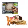 Jurassic World Primal Hatch dinossauro de brincar interativo e ovo, eclodir e treinar o teu próprio bebé dinossauro com mais de 100 sons e reações, brinquedo para rapazes e raparigas a partir dos 5 anos