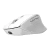 Rato de escritório sem fios para destros TRUST Niven – RF + Bluetooth, 3200 DPI, 7 botões, roda de scroll, branco
