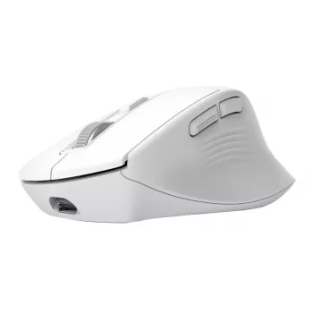 Rato de escritório sem fios para destros TRUST Niven – RF + Bluetooth, 3200 DPI, 7 botões, roda de scroll, branco