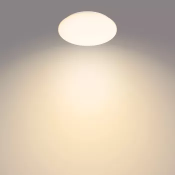 Luminária de teto Philips Functional Moire 10 W, LED, lâmpadas fixas, 2700 K, 1000 lm, IP20, branco