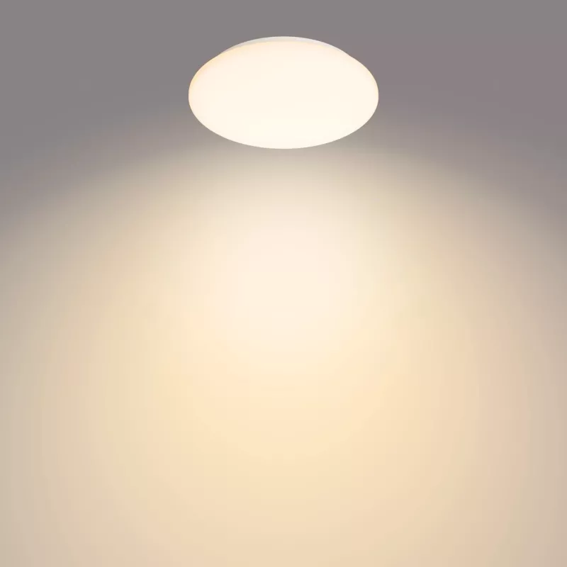 Luminária de teto Philips Functional Moire 10 W, LED, lâmpadas fixas, 2700 K, 1000 lm, IP20, branco