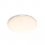 Luminária de teto Philips Functional, LED, lâmpada não substituível, 2700 K, 1700 lm, IP20, branco