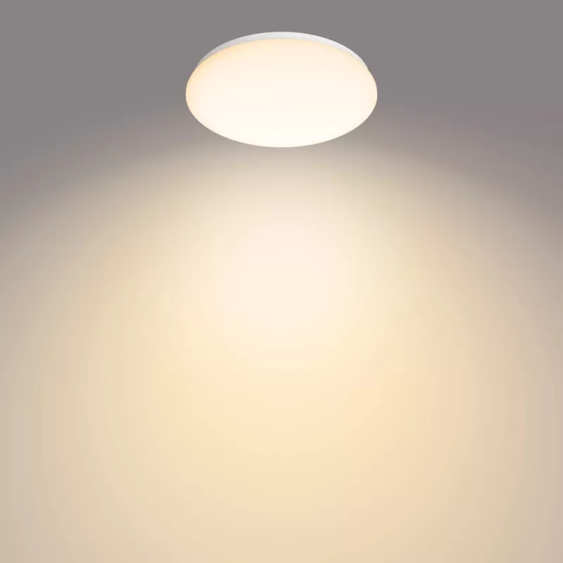 Luminária de teto Philips Functional, LED, lâmpada não substituível, 2700 K, 1700 lm, IP20, branco