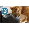 Fonte de água automática para animais Philips série 3000 PAW3210/02, 2,2 L, USB/AC, preto, plástico