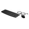 HP 250 conjunto de teclado e rato com fios, preto