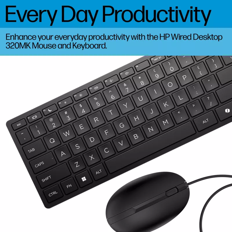 HP Wired Desktop 320MK rato e teclado