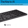 HP Wired Desktop 320MK rato e teclado full-size USB com fios preto