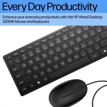 HP Wired Desktop 320MK rato e teclado