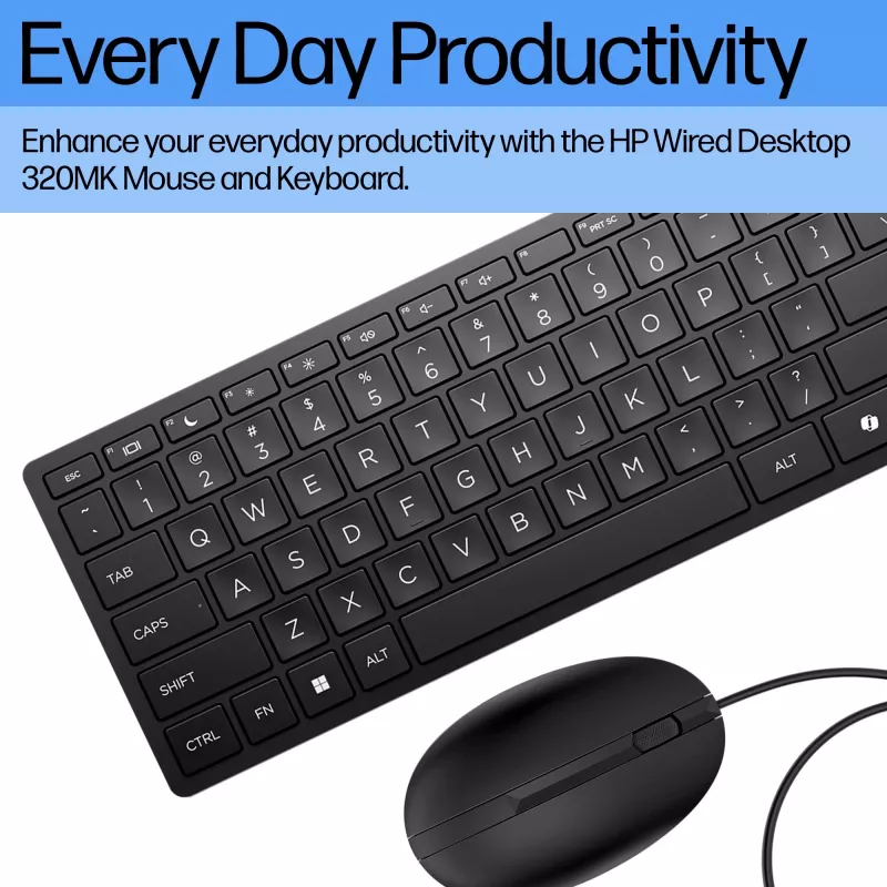 HP Wired Desktop 320MK rato e teclado