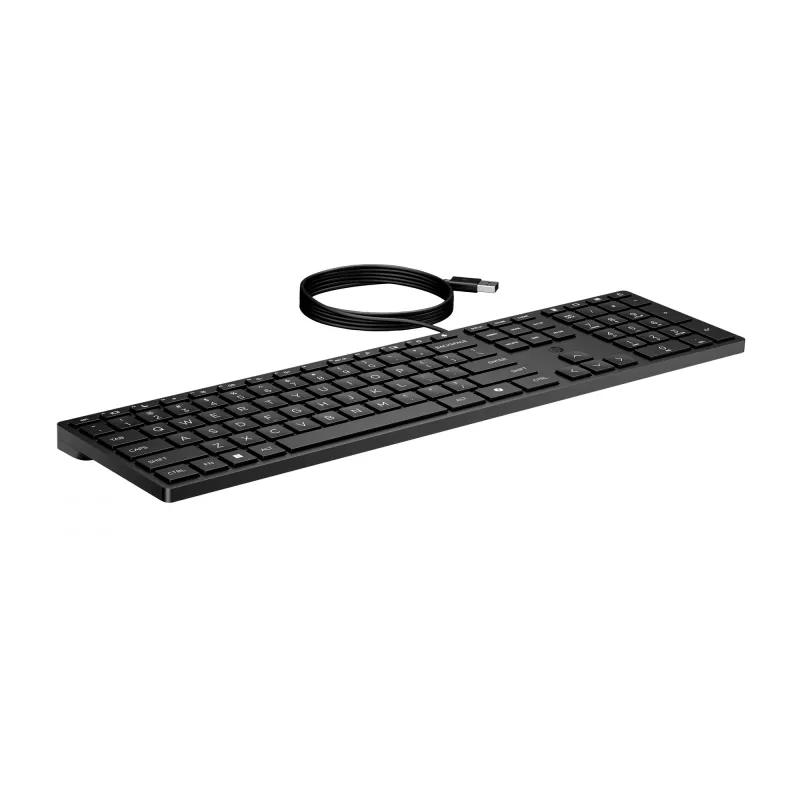 HP Wired Desktop 320K teclado