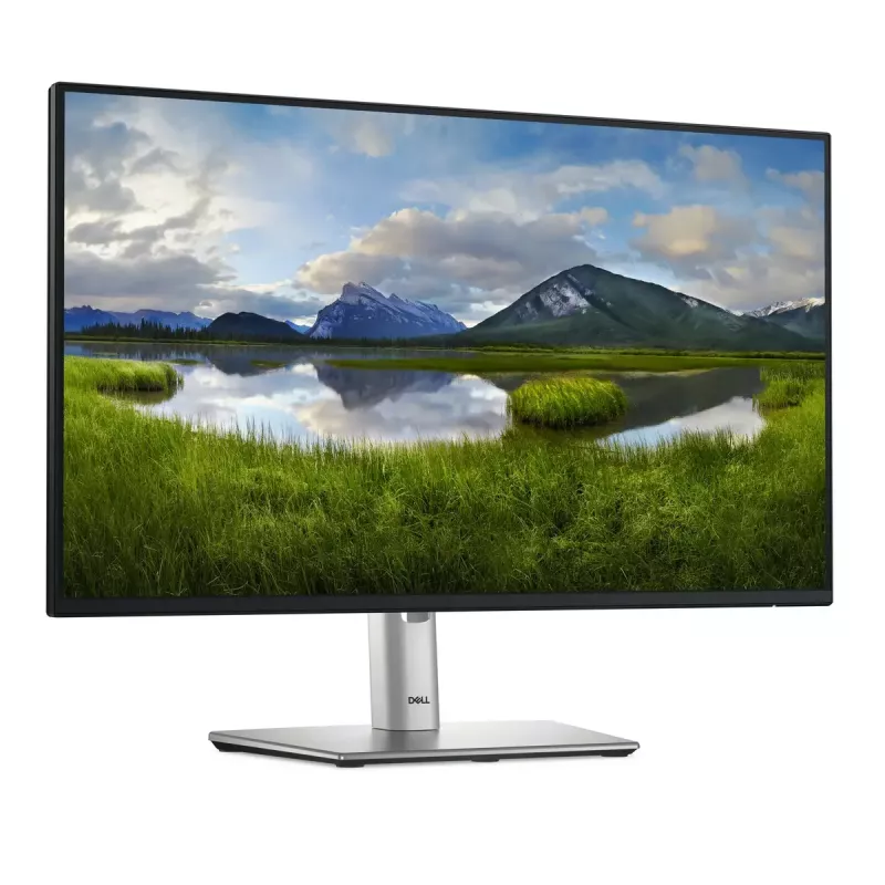 Monitor de computador DELL Pro Plus P2425H 60,5 cm (23,8