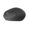 Rato ergonómico Conceptronic LORCAN02B escritório destro Bluetooth ótico 1600 DPI