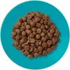 APPLAWS Adult Ocean fish with salmon - Alimento seco para gatos - 1,8kg