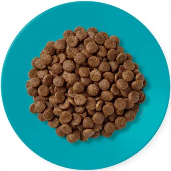 APPLAWS Adult Ocean fish with salmon - Alimento seco para gatos - 1,8kg