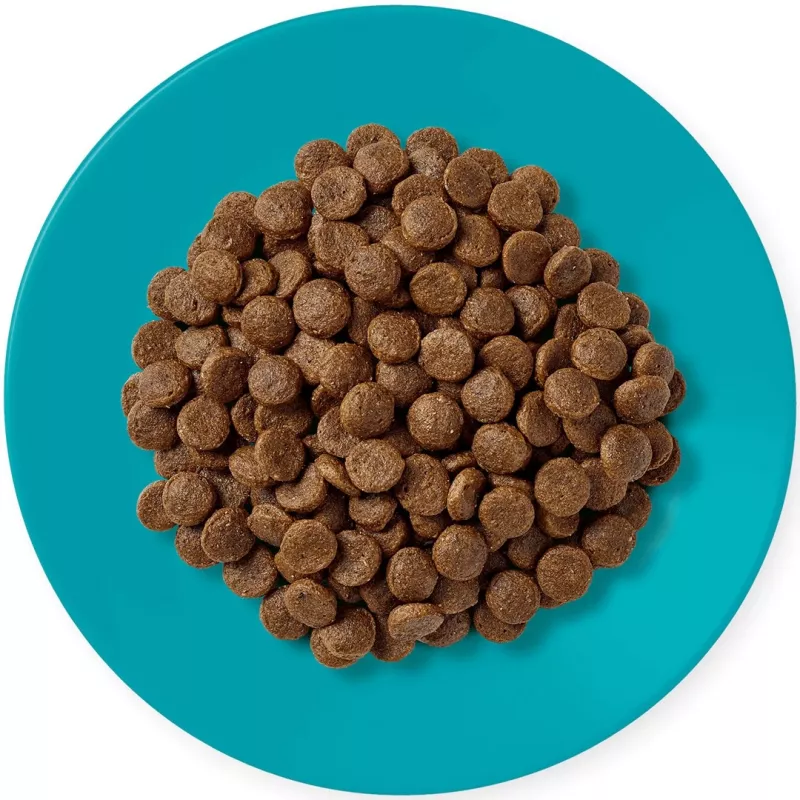APPLAWS Adult Ocean fish with salmon - Alimento seco para gatos - 1,8kg
