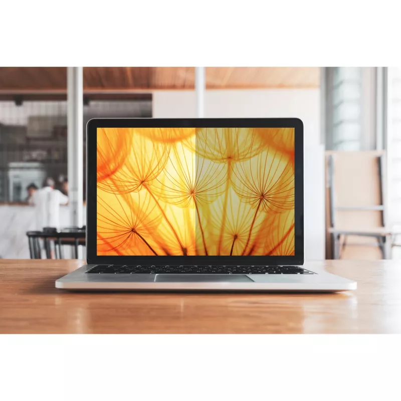 3M - Filtro de privacidade para portátil - ecrã claro - autoadesivo - 34,2 cm (13.5) - para Microsoft Surface Laptop (13.5), Laptop 2 (13.5) (7100287810)