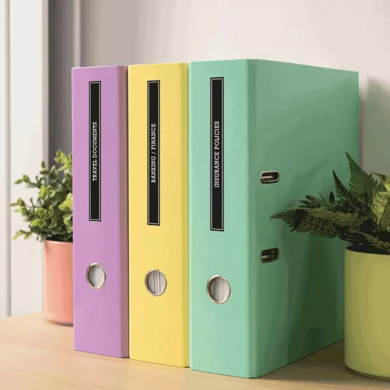 Brother PT-N25BT impressora de etiquetas com conectividade Bluetooth, dispositivo portátil compacto