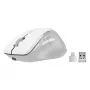 Speedlink LIBERA Rato sem fios Bluetooth silencioso recarregável branco
