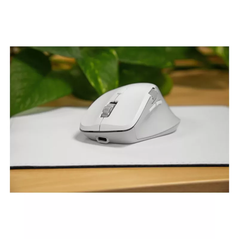 Speedlink LIBERA Rato sem fios Bluetooth silencioso recarregável branco