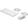 Teclado e rato HP USB Healthcare Edition tamanho completo com fio branco