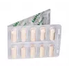 Vetfood Amylactiv Balance auxiliar digestivo para cães e gatos 60 cápsulas