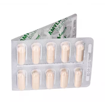 Vetfood Amylactiv Balance auxiliar digestivo para cães e gatos 60 cápsulas