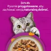 Comida húmida para gatos Whiskas Tasty Mix Chef's Selection em molho 40×85 g saquetas
