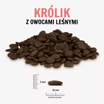 PAKA ZWIERZAKA coelho com frutos silvestres Large 9 kg comida seca para cães