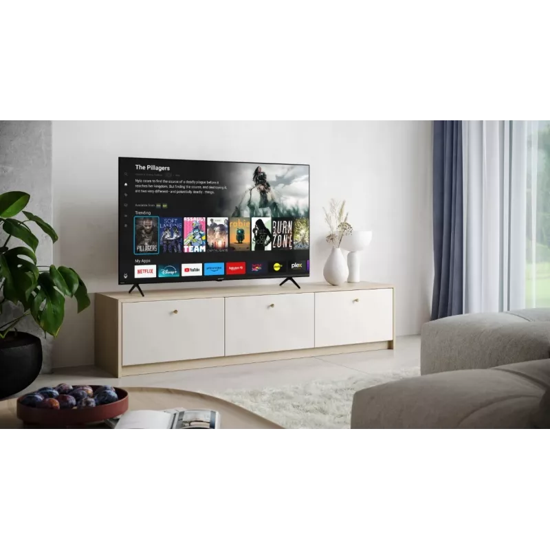 TV LED 55'' 55GK4245E