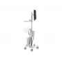 Ergotron 24-818-211 Monitor