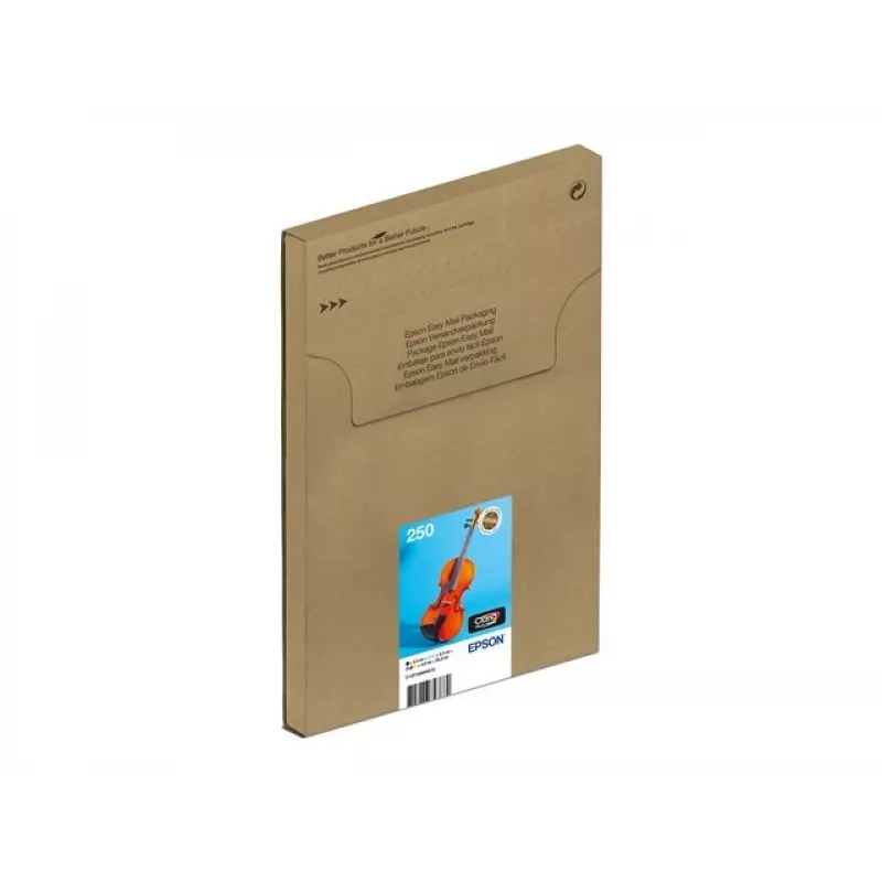 Multipack de cartuchos de tinta Epson 250 EasyMail pack de 6 original – preto, amarelo, ciano, magenta, ciano claro, magenta claro (MPN C13T16N84510)