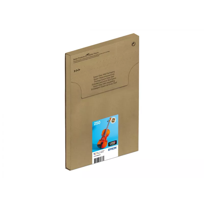 Multipack de cartuchos de tinta Epson 250 EasyMail pack de 6 original – preto, amarelo, ciano, magenta, ciano claro, magenta claro (MPN C13T16N84510)