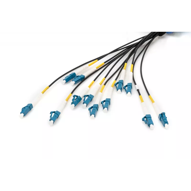 Cabo breakout universal de fibra ótica pré-montado Digitus monomodo OS2 12 fibras LC/UPC 100m