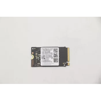 Lenovo 5SS0V42253 Unidade de estado sólido interna M.2 256 GB PCI Express (5SS0V42253)