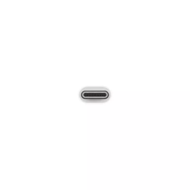 Adaptador Apple USB-C para USB MJ1M2ZM/A USB A USB C | Turime | ITwork